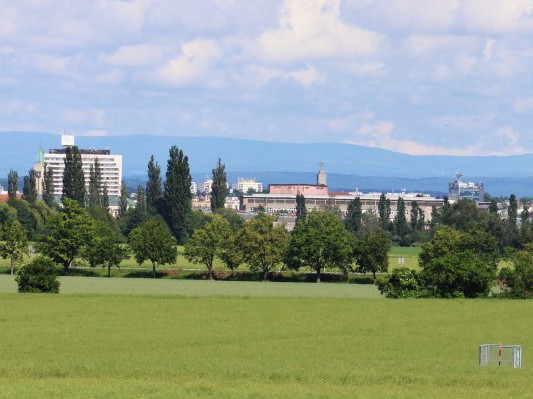 021  Detail - kostel Božského Srdce Páně