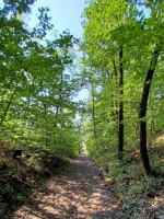 021  Cestou do Vysoké nad Labem