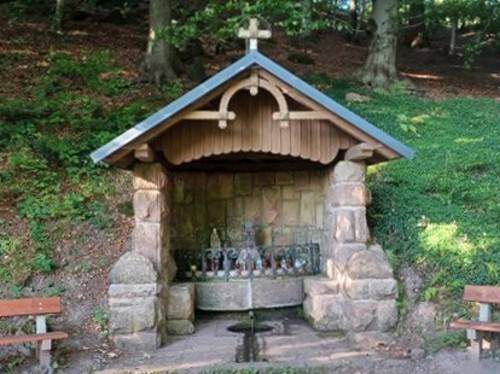 091  Studánka pod Janským vrchem