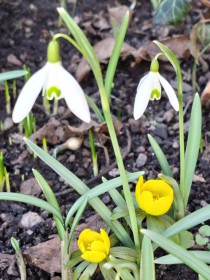 Jaro, 24. února 2026