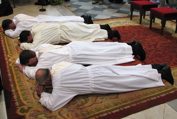 20  Prostrace  